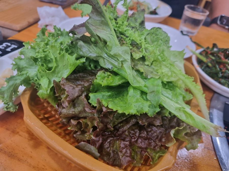 KakaoTalk_20250626_131359481_01.jpg